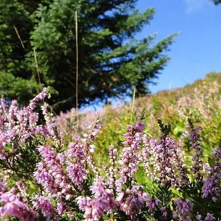 Jasserie Les Airelles