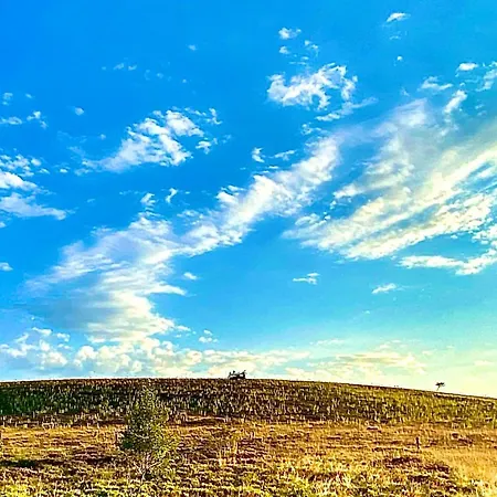 Casa de hóspedes Jasserie Les Airelles Saint-Anthème