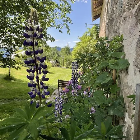 Guest house Jasserie Les Airelles Saint-Antheme