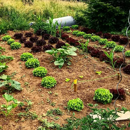 Casa de hóspedes Jasserie Les Airelles Saint-Anthème