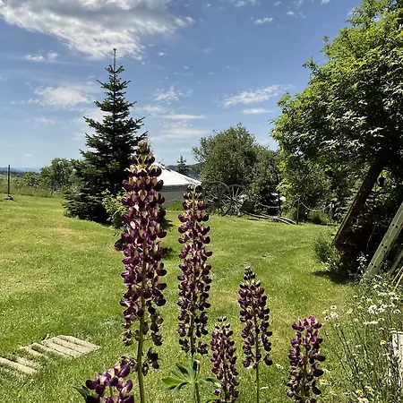 Jasserie Les Airelles 3*