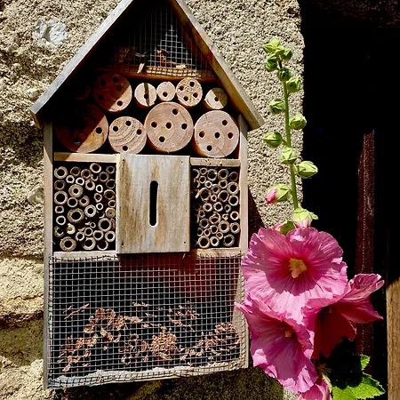 Jasserie Les Airelles Saint-Anthème